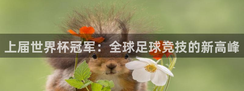 2026世界杯中国队:上届世界杯冠军:全球足球竞技的新高峰