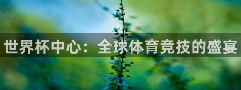世界杯时间:世界杯中心:全球体育竞技的盛宴