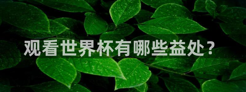 世俱杯直播:观看世界杯有哪些益处?