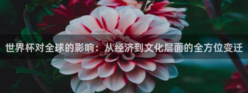 世界杯在线直播:世界杯对全球的影响:从经济到文化层面的全方位变迁