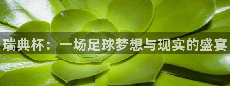 2026年世界杯赛程:瑞典杯:一场足球梦想与现实的盛宴