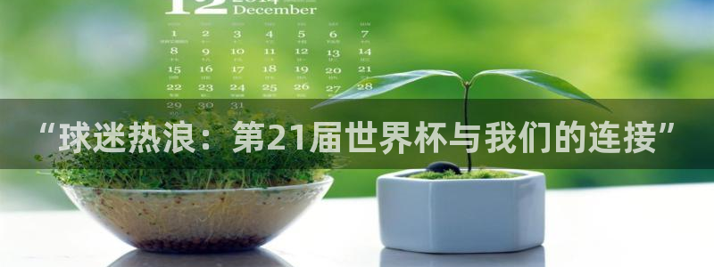 今天所有足球赛程表:“球迷热浪:第21届世界杯与我们的连接”